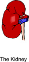 manzana