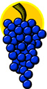 manzana